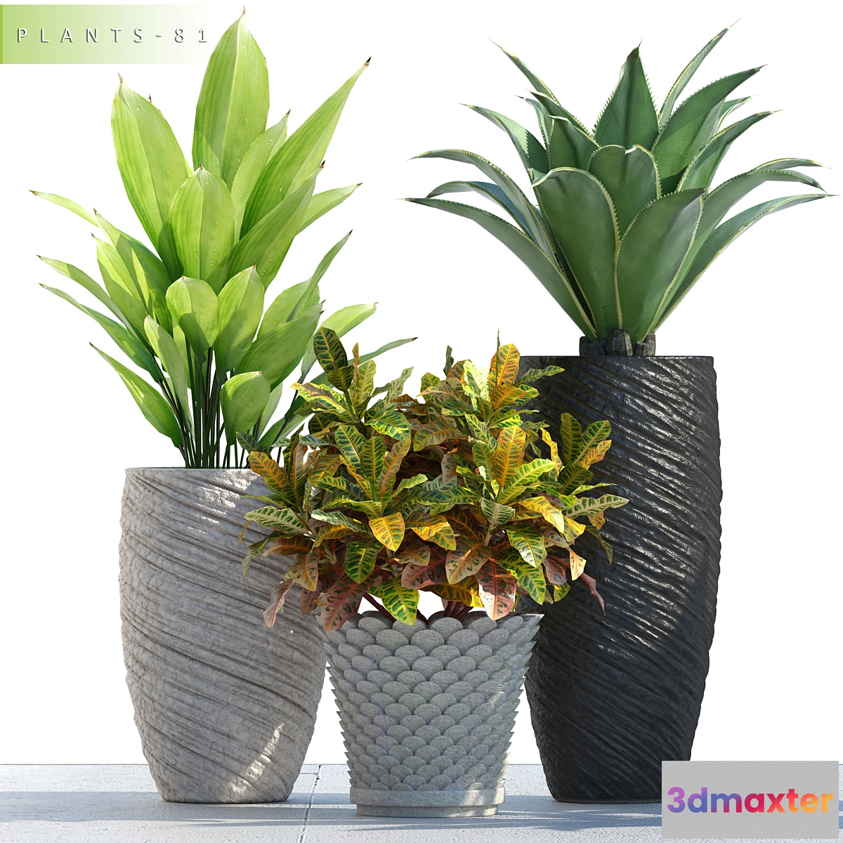 898236 - PLANTS 81 - No.2