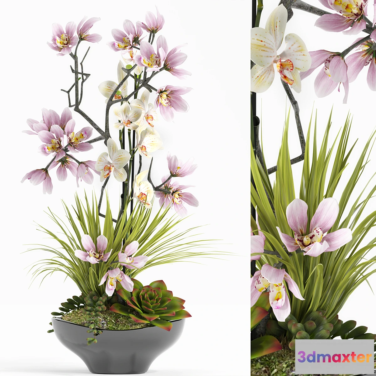 898254 - FLOWER SET 21