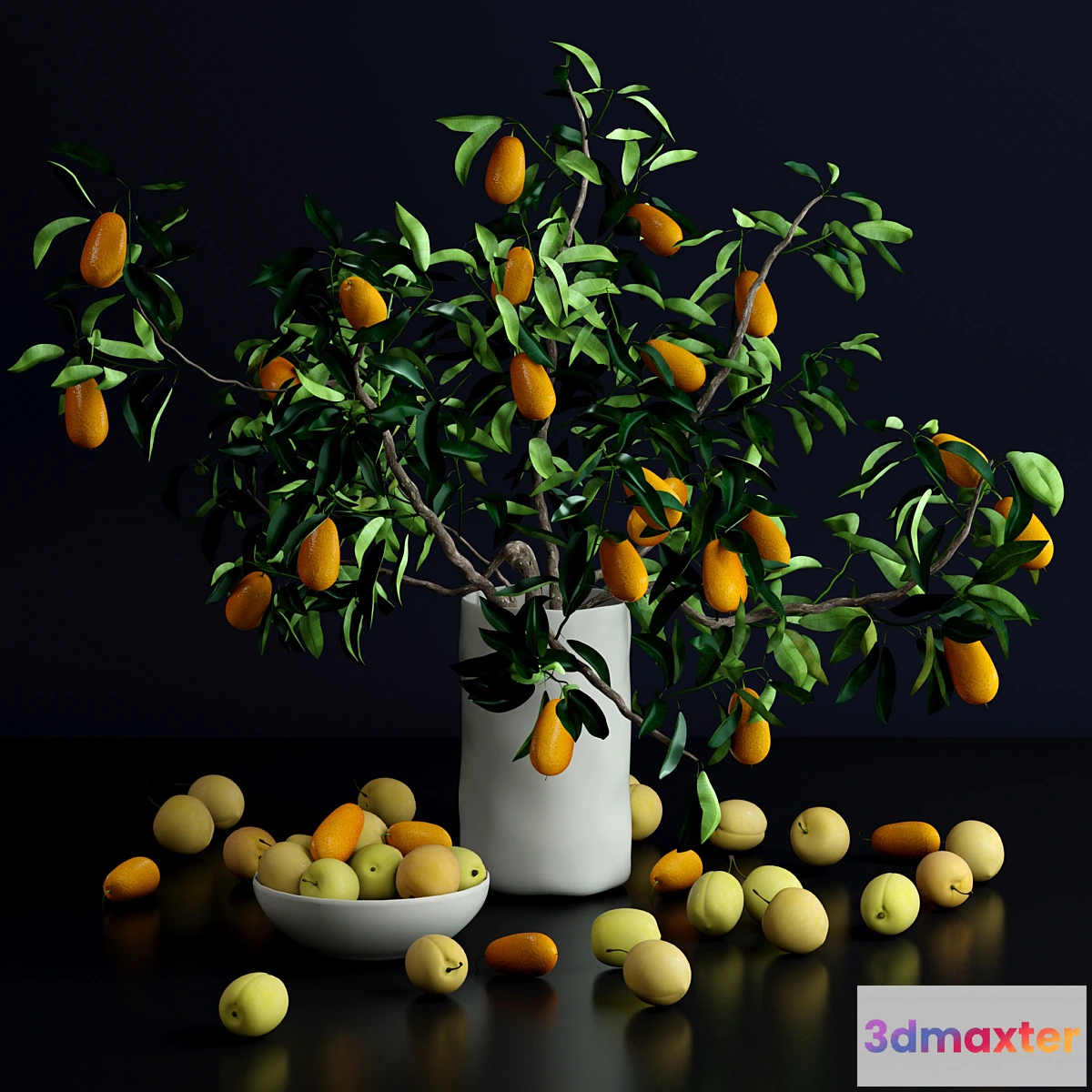 898264 - Kumquat and plums