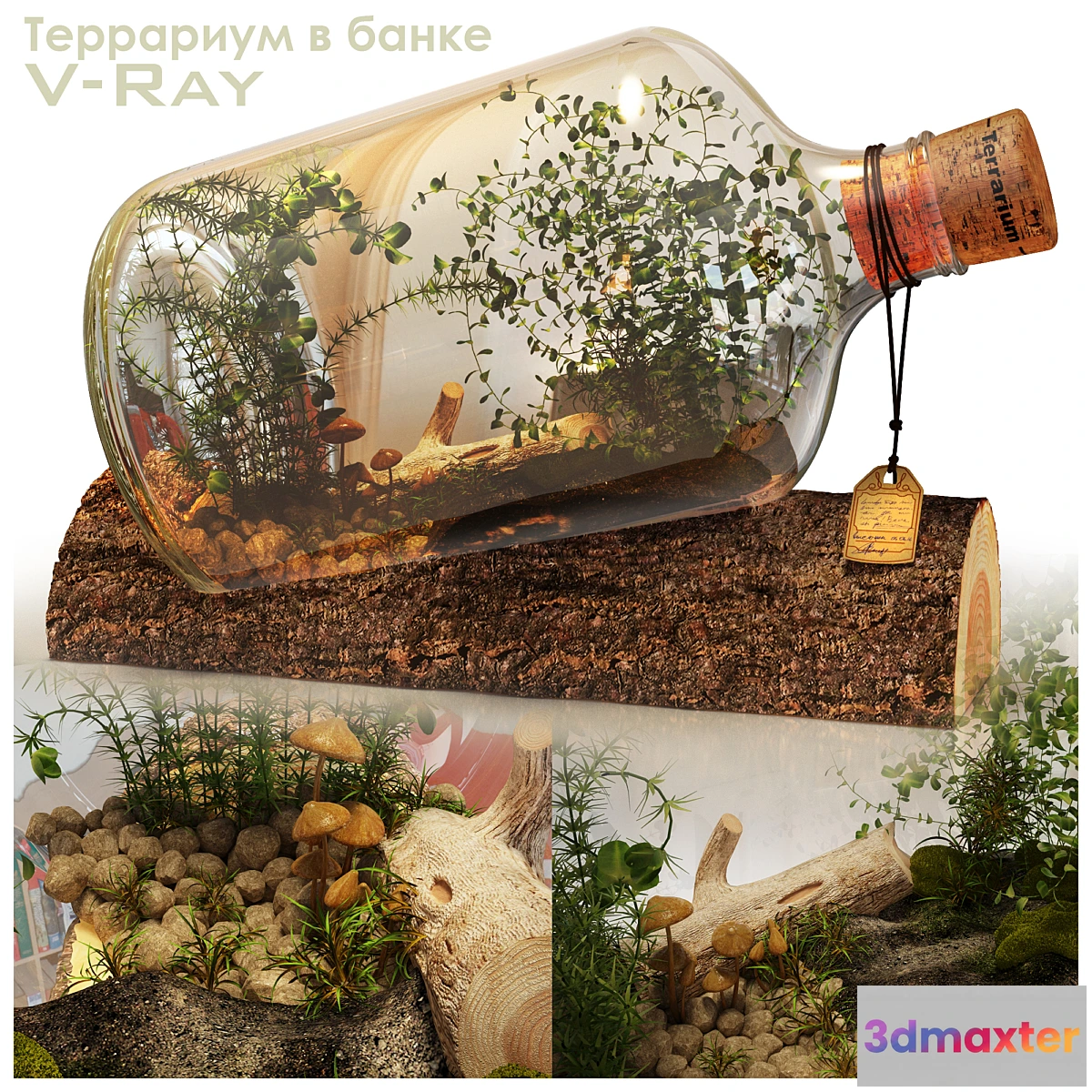 898276 - Terrarium in a Bottle