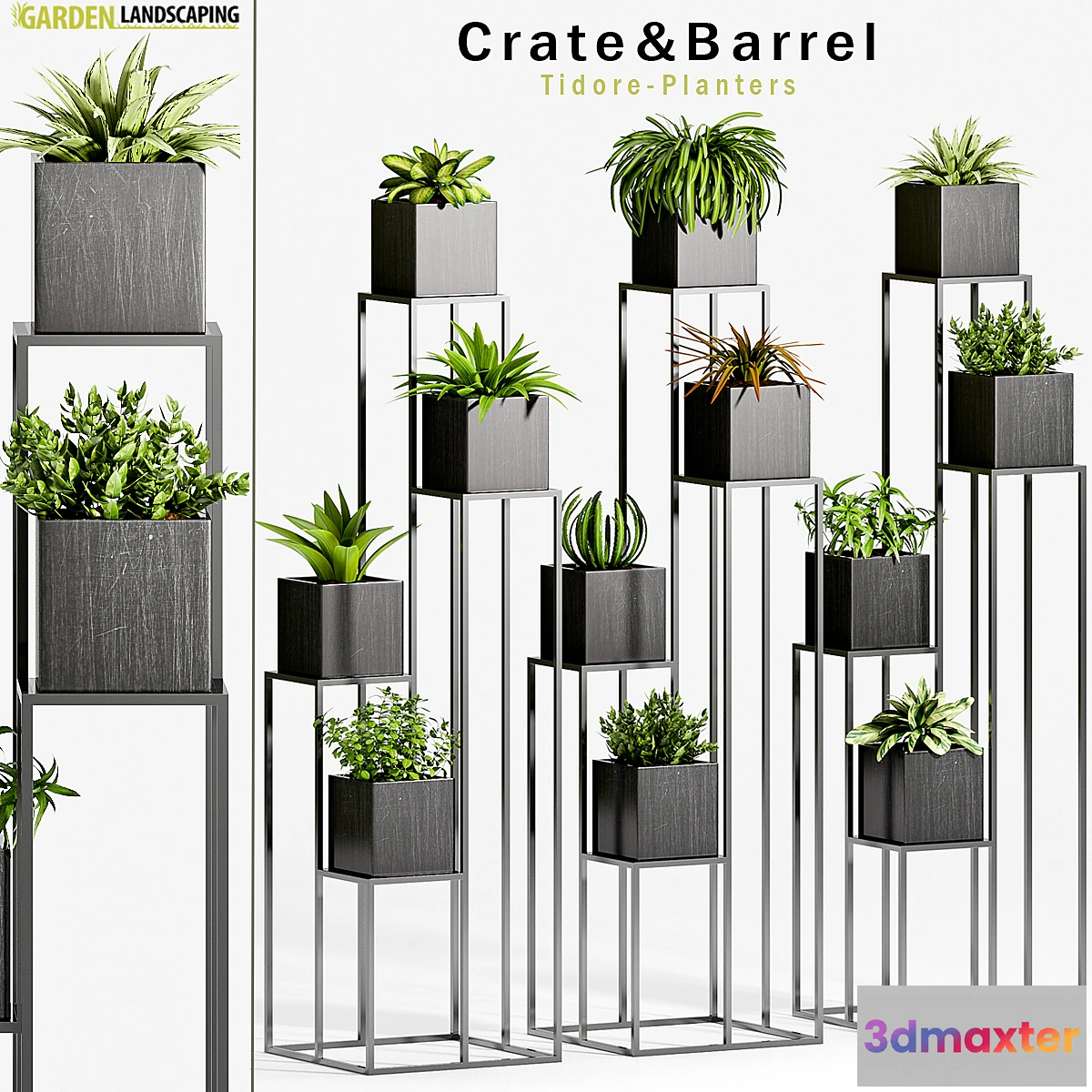 898282 - PLANT -33 - No.2