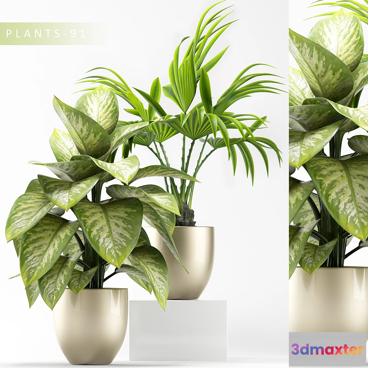 898318 - PLANTS 91 - No.6