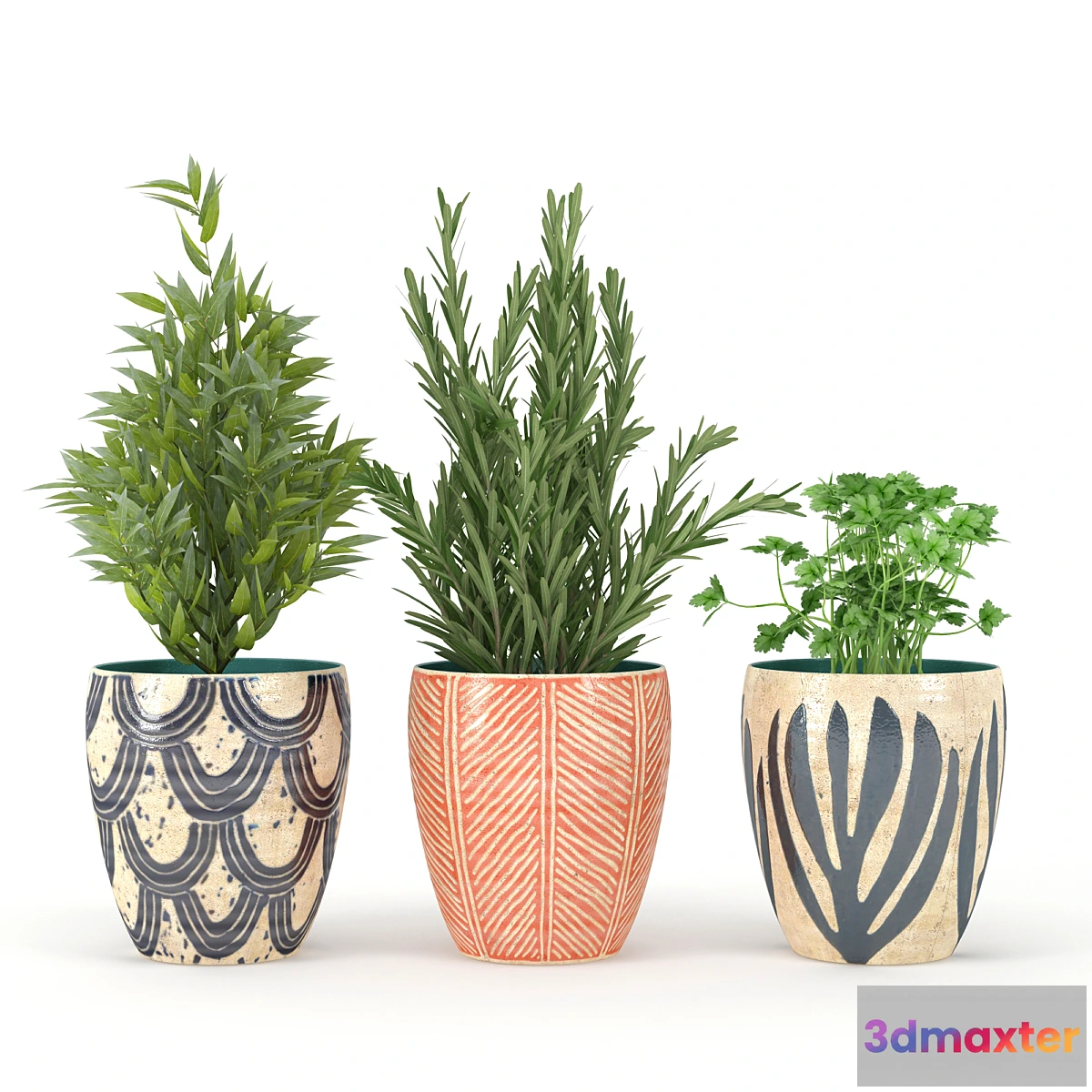 898448 - Kitchen_Plant - No.4