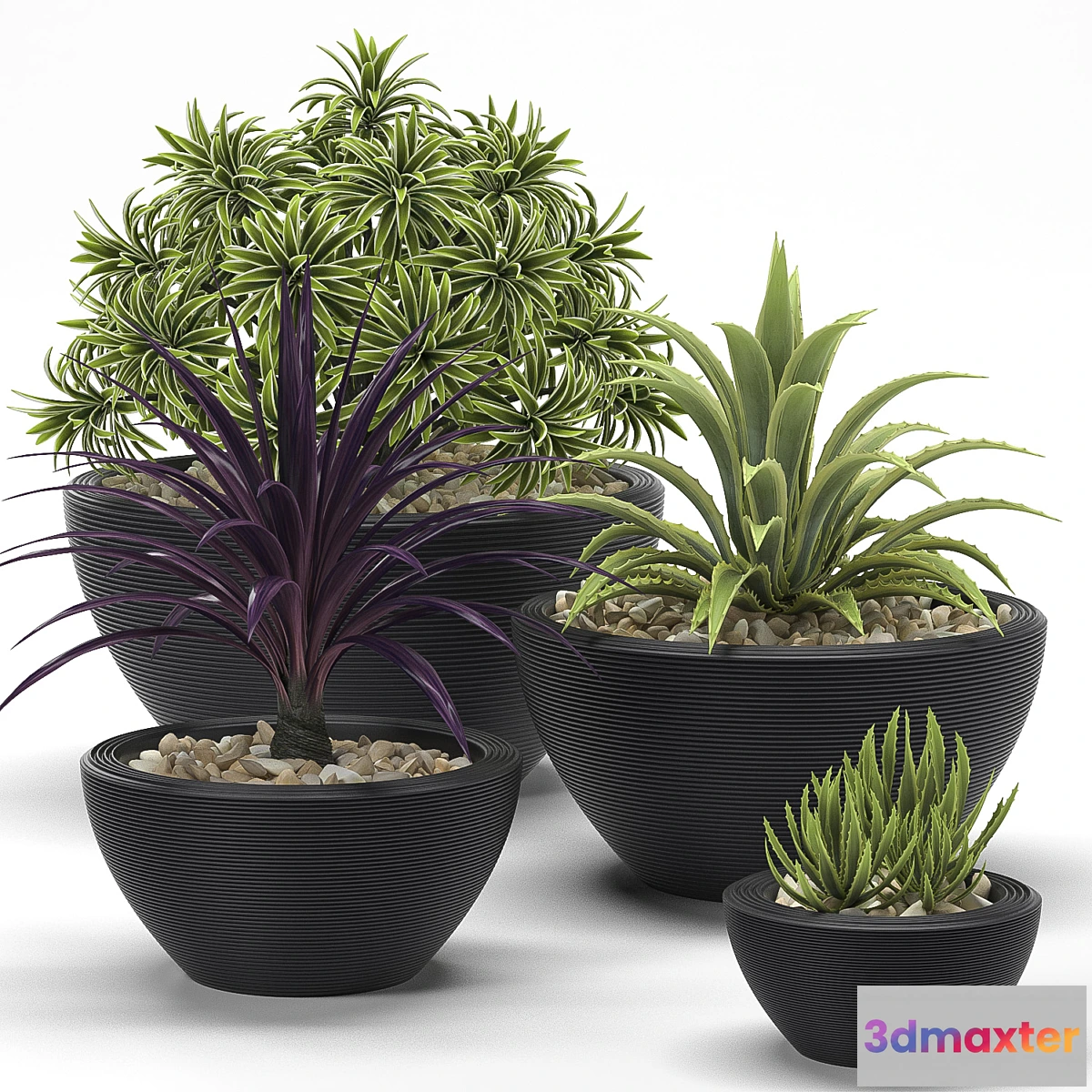 898534 - PLANTS 17 - No.4