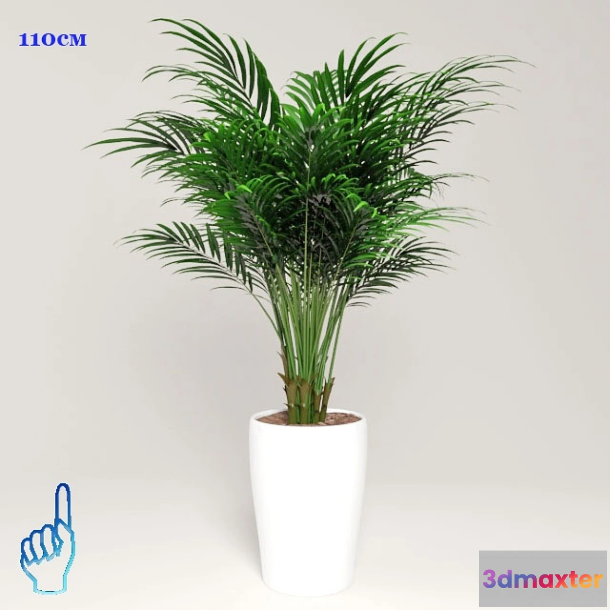 898742 - plant - No.27
