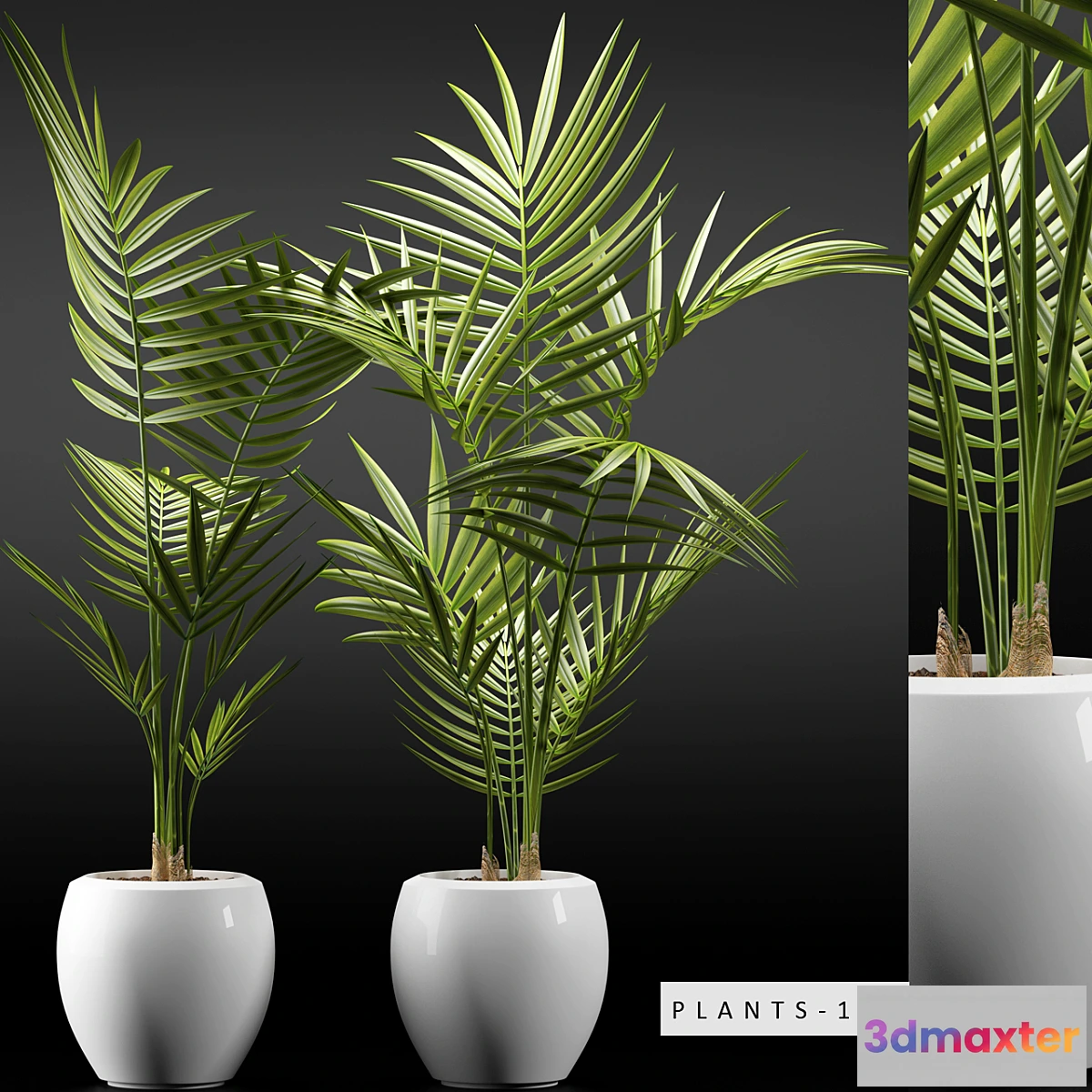 898766 - PLANTS 110 - No.4