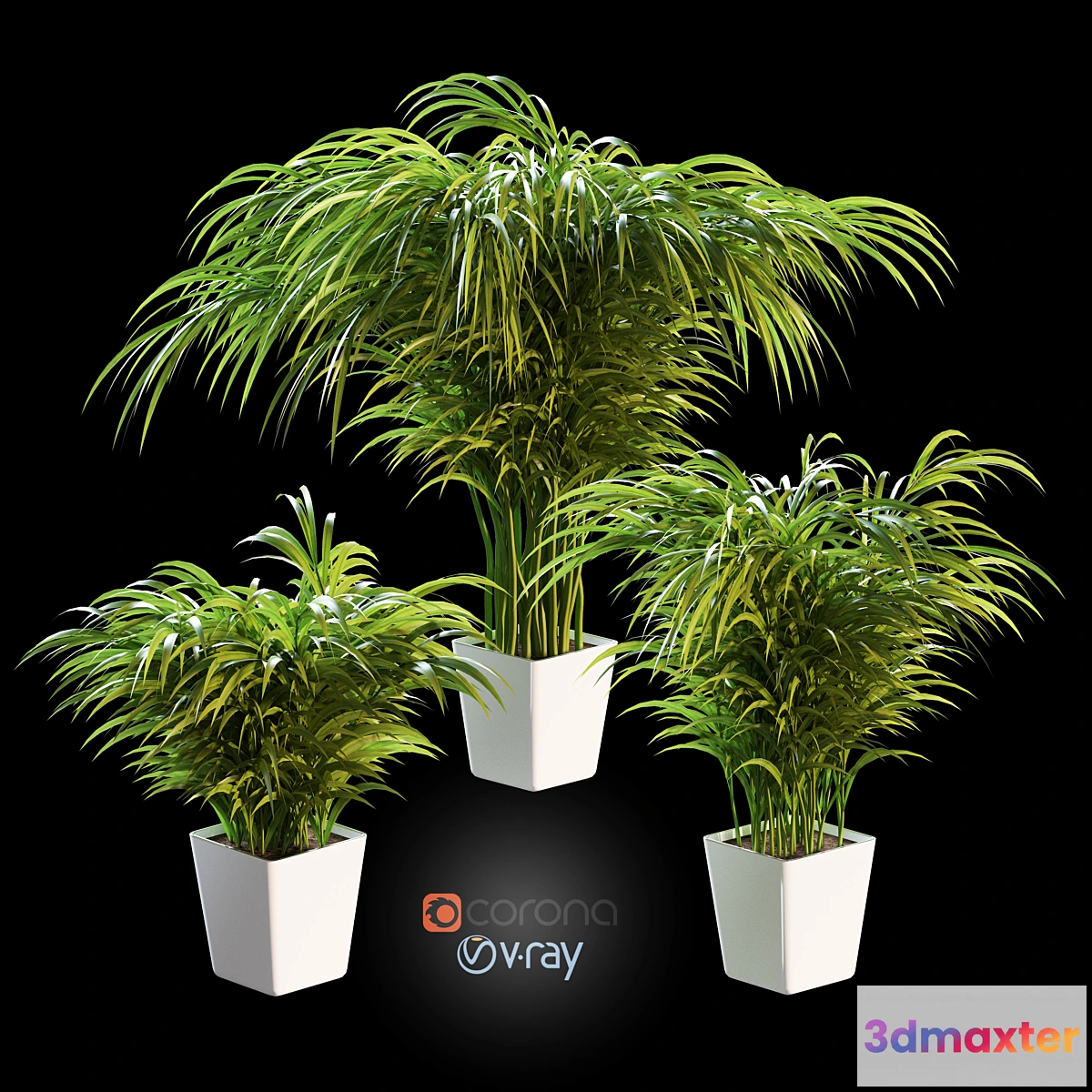 898834 - Palm tree in a pot. 3 models - No.4