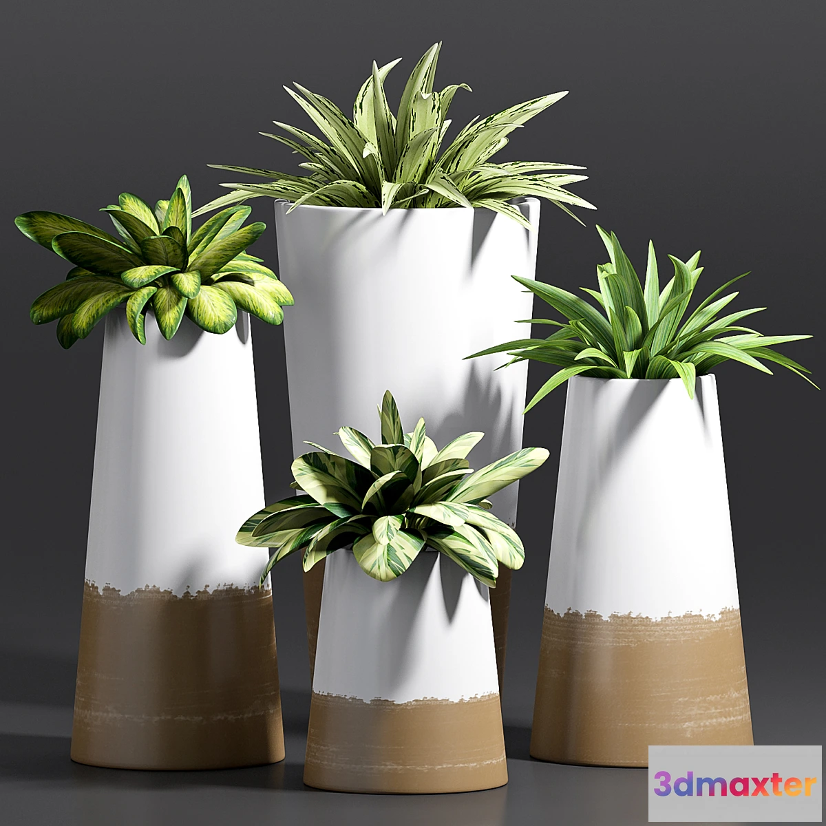 898938 - PLANT -28 - No.3