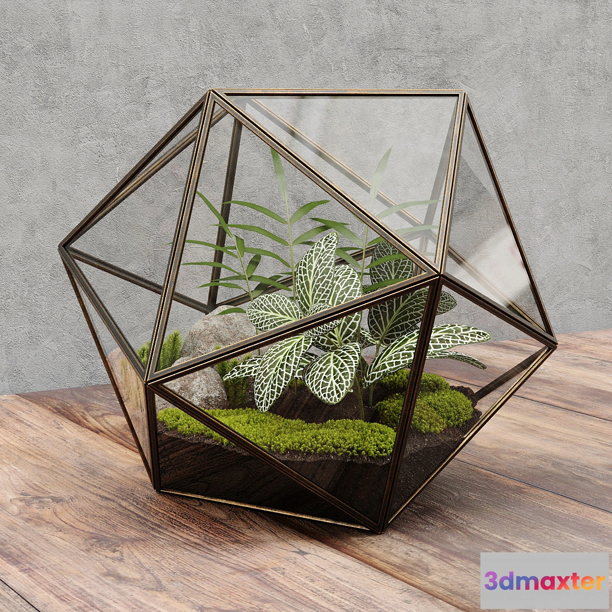 898956 - Florarium icosahedron - No.3