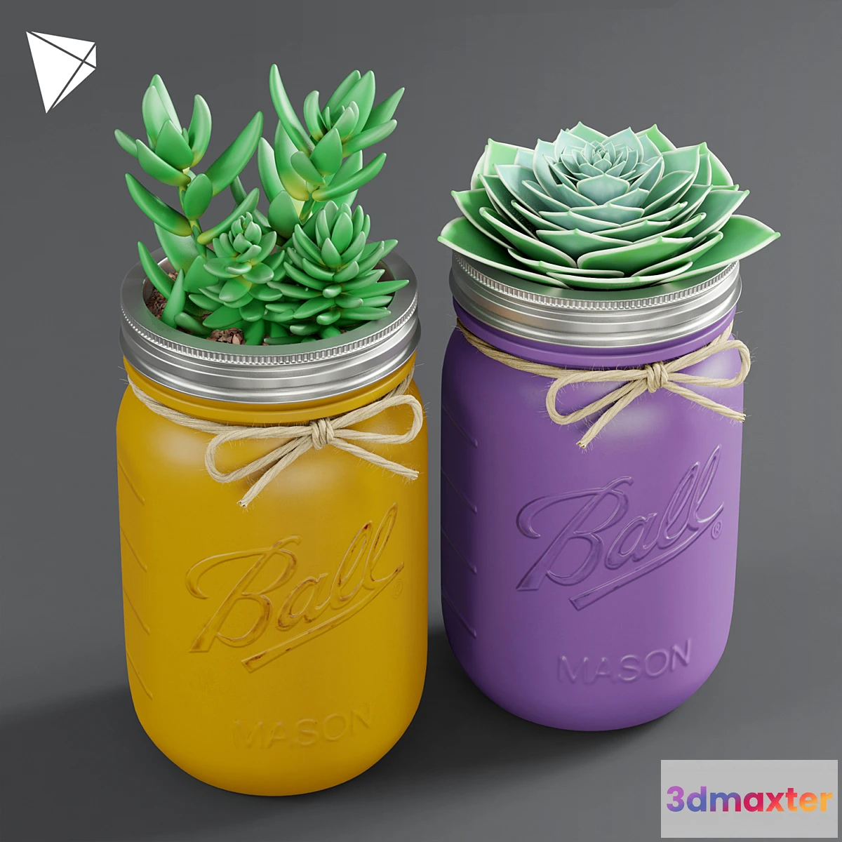 898980 - Pot Ball Mason Jar Succulent - No.2