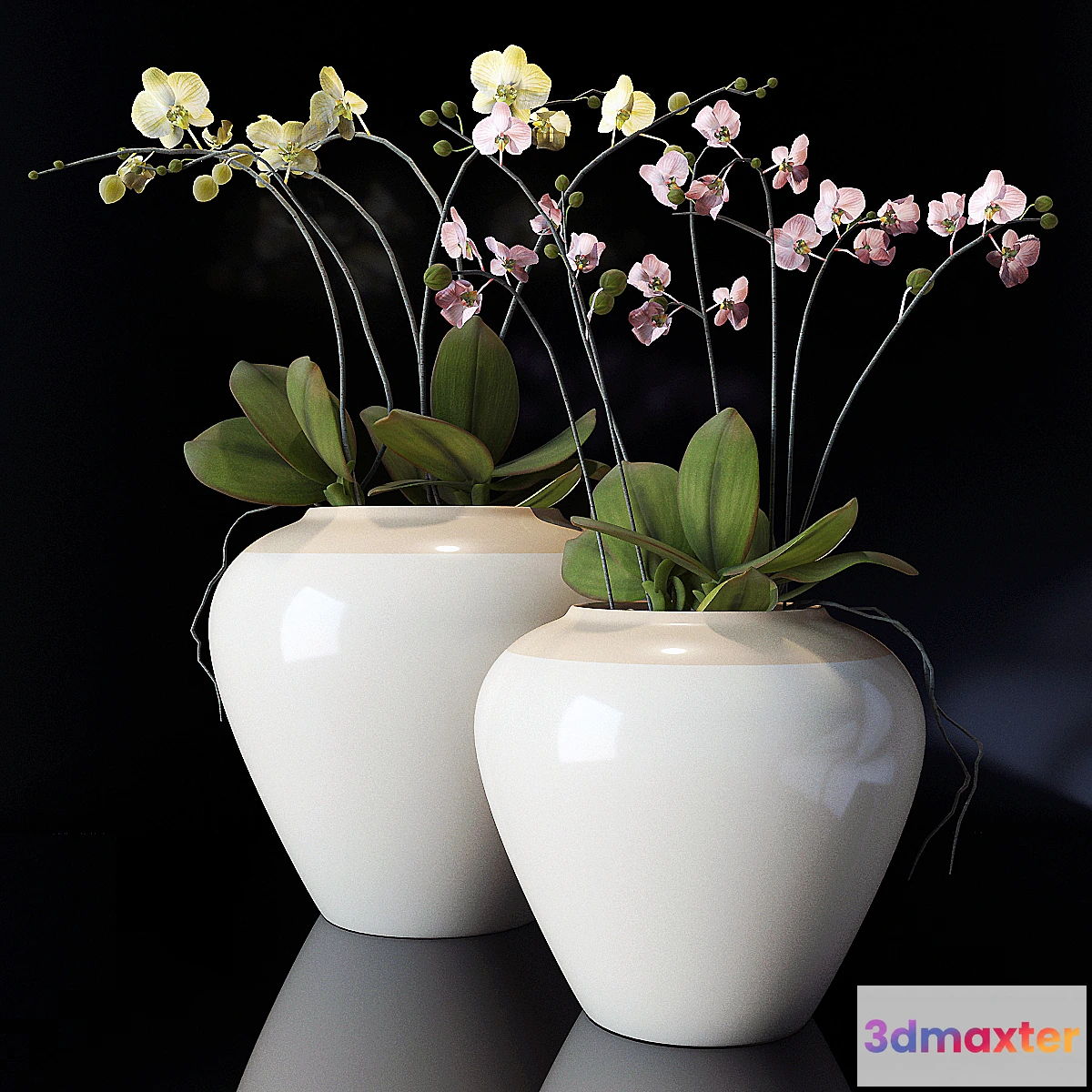 898992 - potterybarn Orchid - No.2