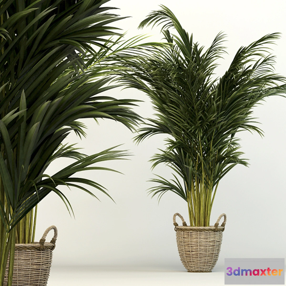 899024 - Office Chart - No.2