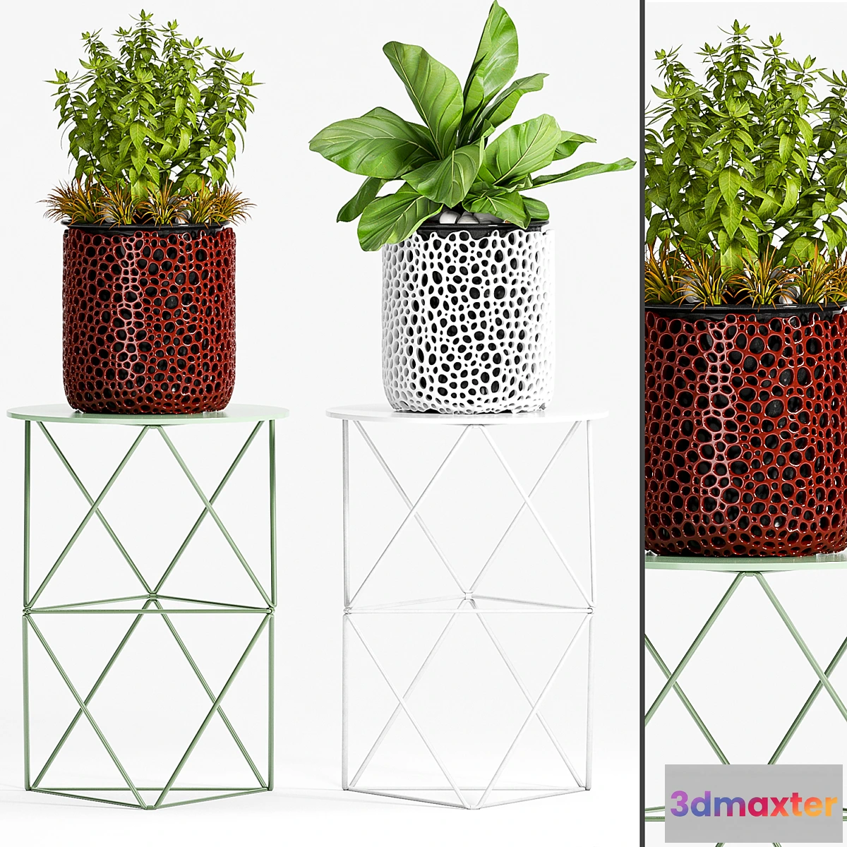 899028 - PLANT-44 - No.2