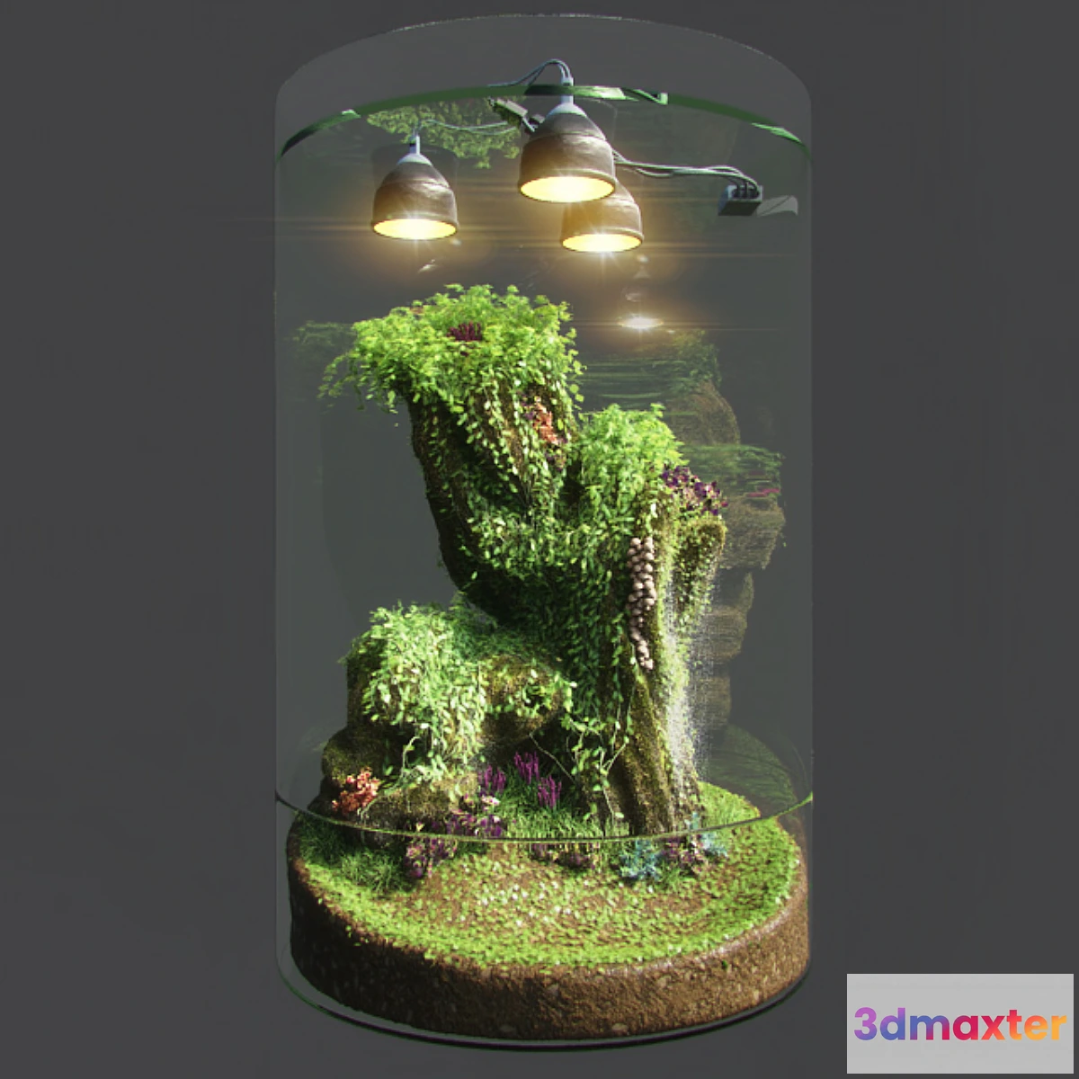 899060 - Dwarf Florarium - No.3