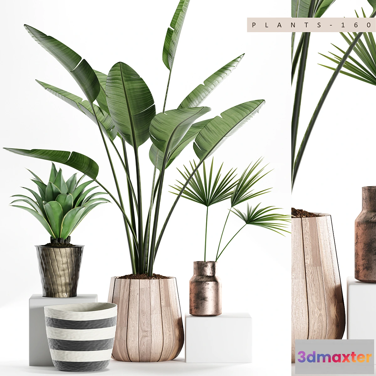 899128 - PLANTS 160 - No.4