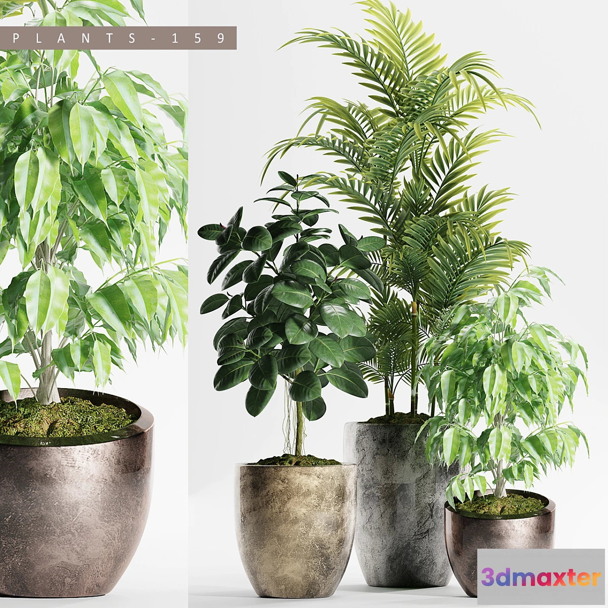 899138 - PLANTS 159 - No.4