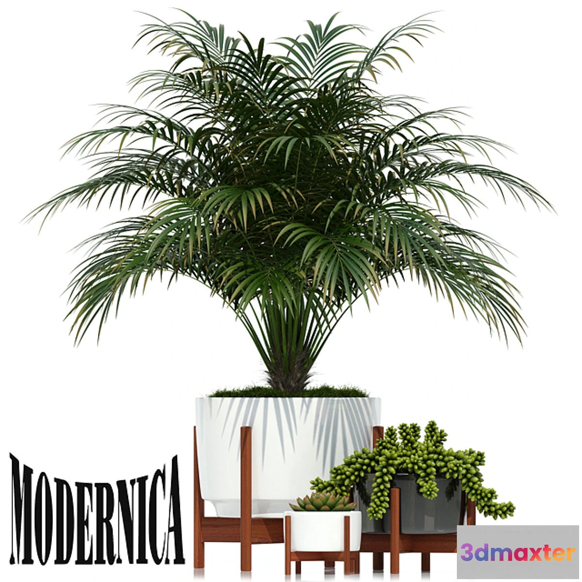 899172 - Plants collection 68 Modernica pots - No.3