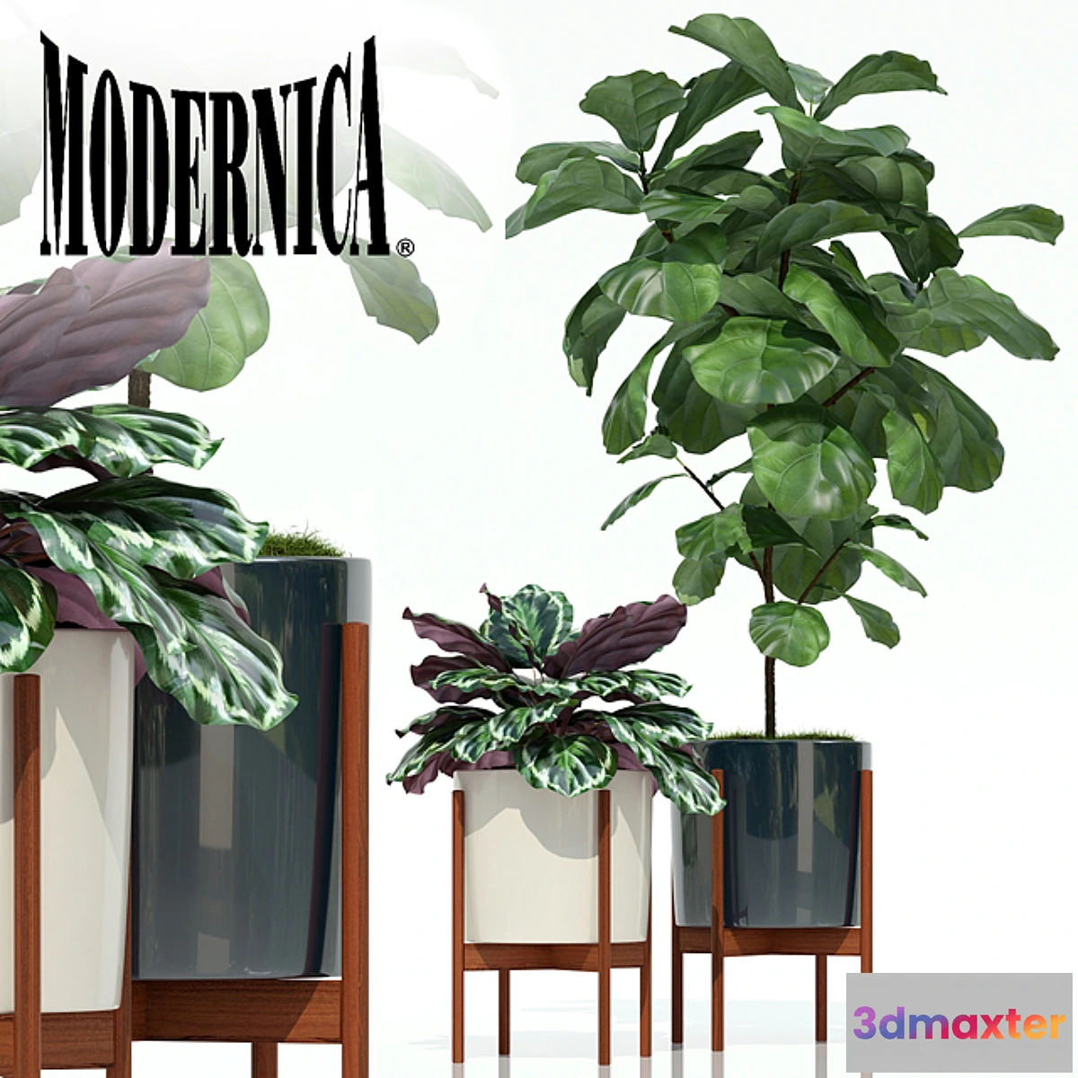 899194 - Plants collection 69 Modernica pots - No.3