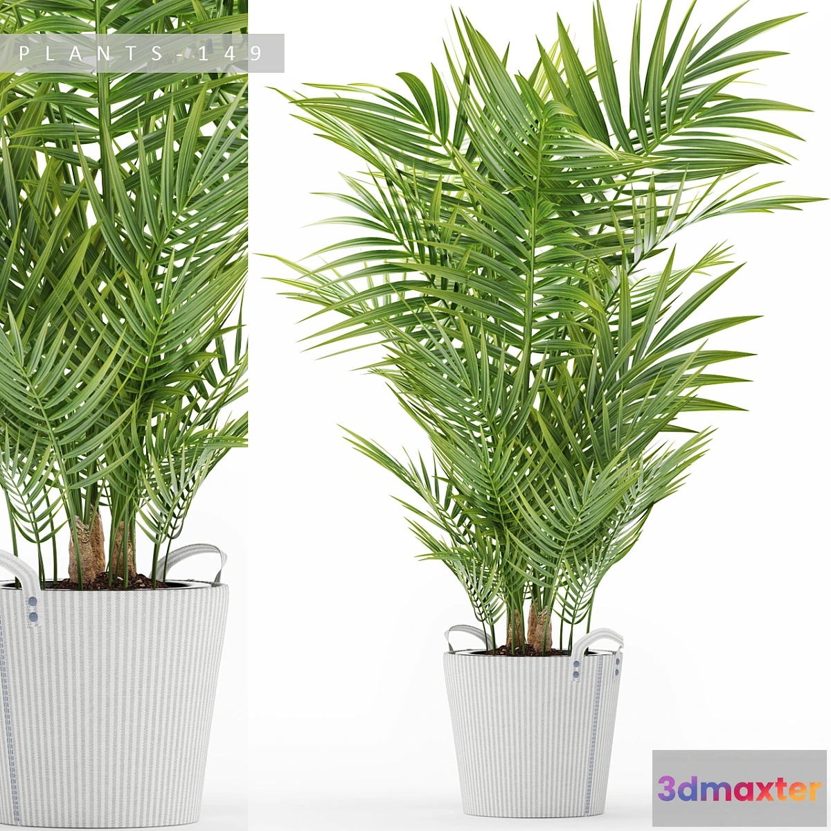 899200 - PLANTS 149 - No.3