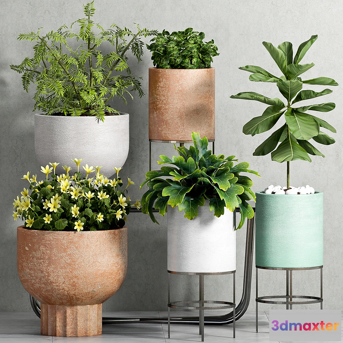 899242 - PLANT SET -81 - No.3