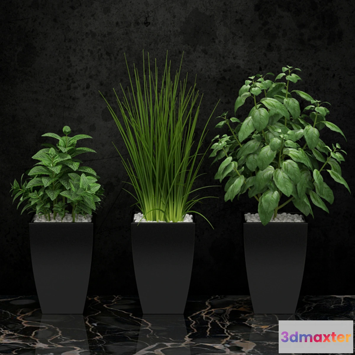 899278 - Plants for the kitchen - No.4