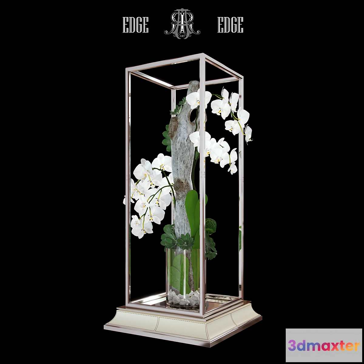 899326 - Orchid ART EDGE - No.2