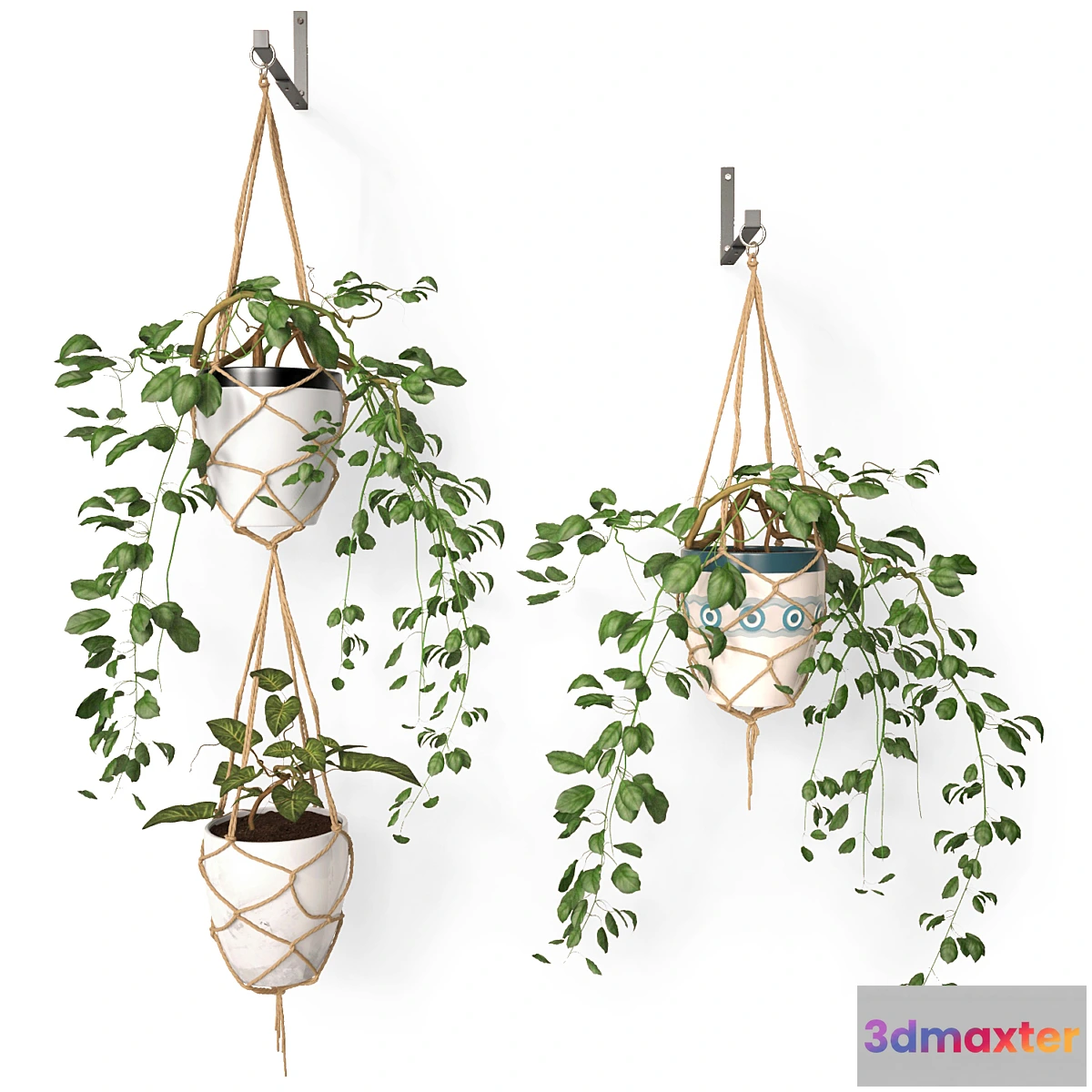 899350 - Hanging pots - No.2
