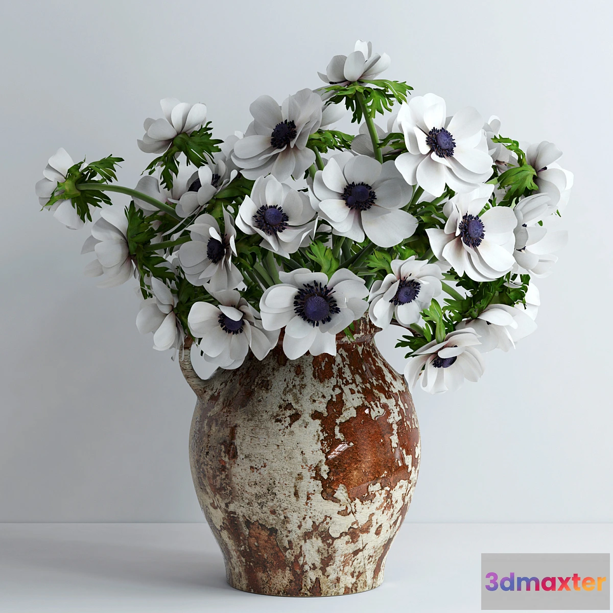 899366 - White anemones - No.2