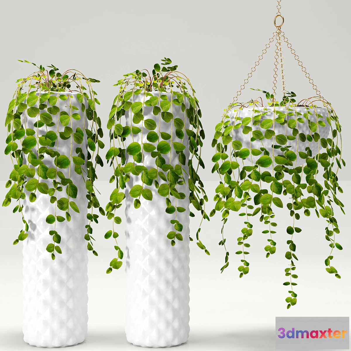 899406 - Plants in pots - No.2