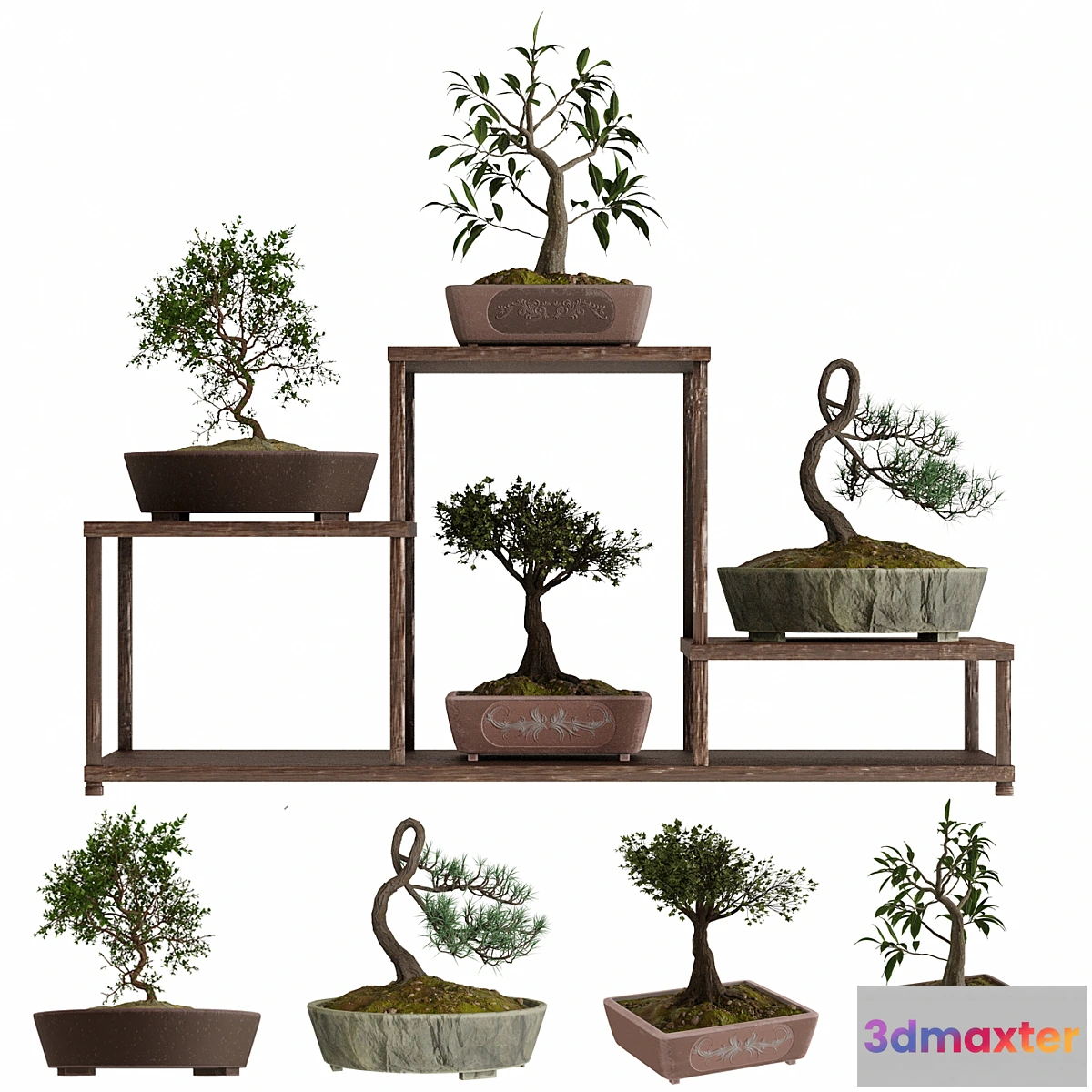 899444 - Bonsai set - No.2