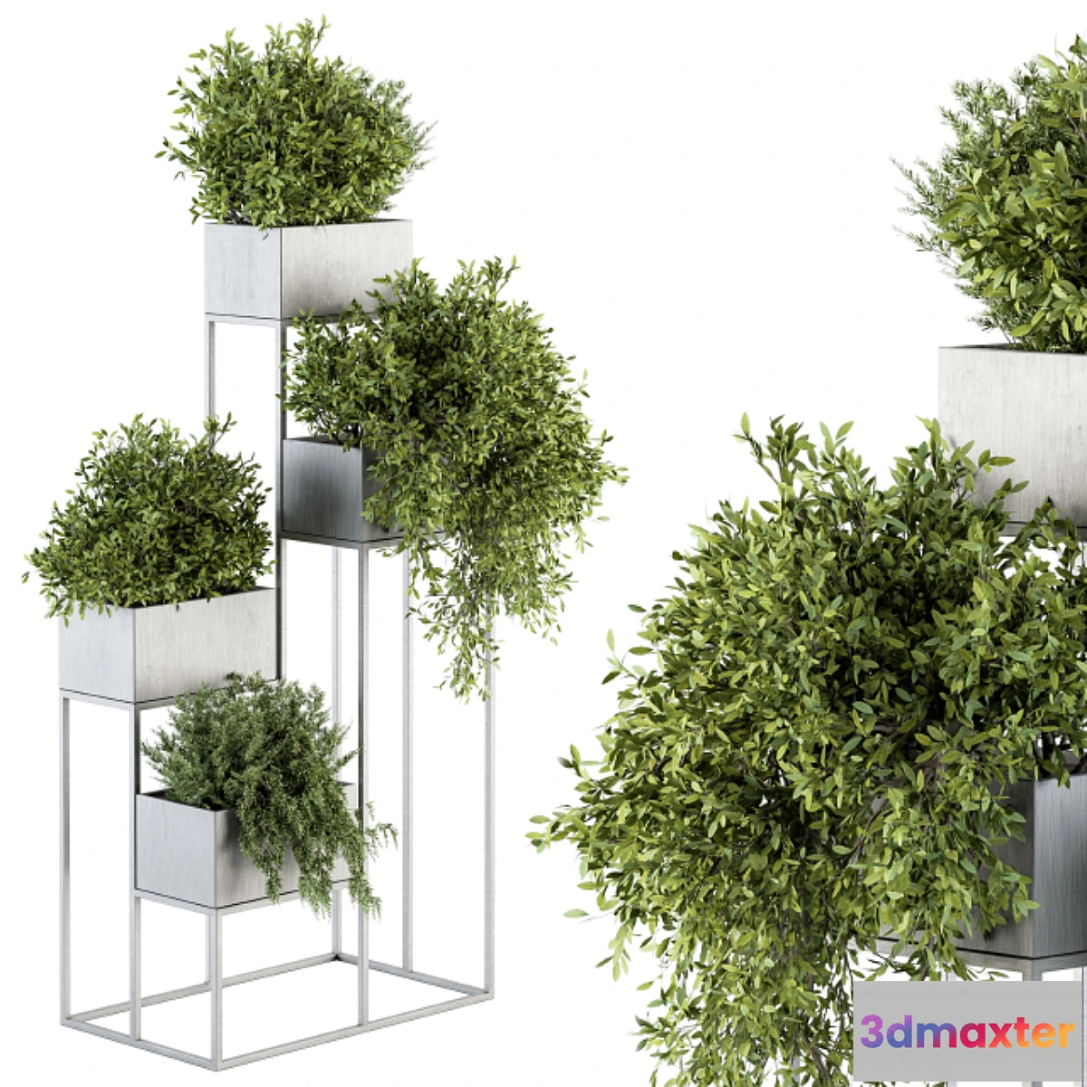 899454 - indoor Plant Set 213 - Silver Plant Stand - No.2