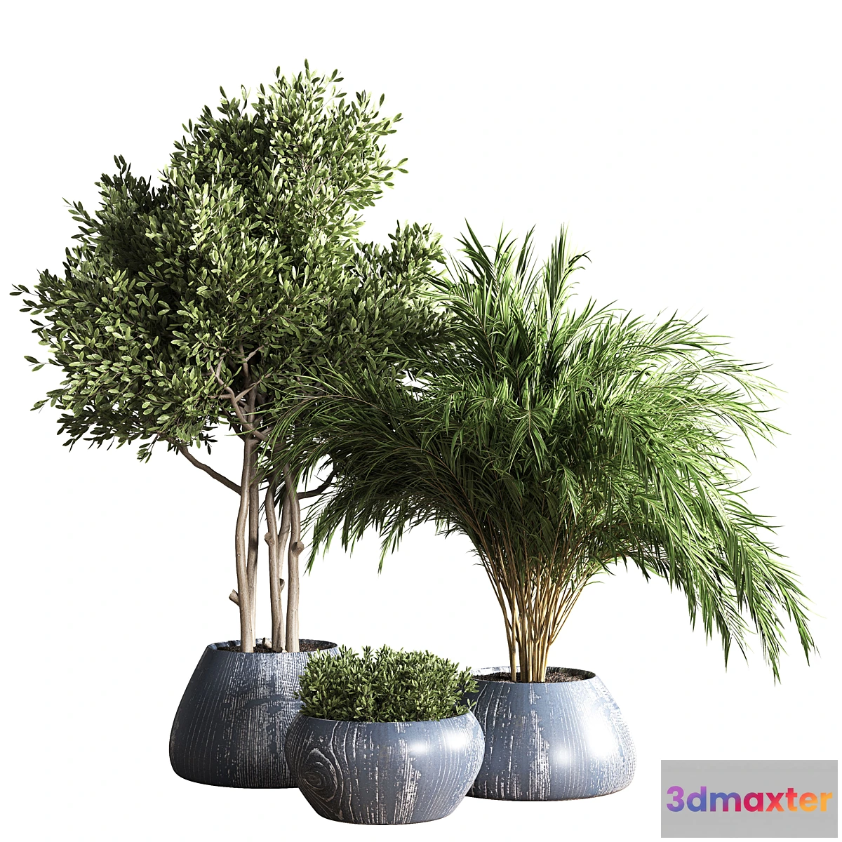 899472 - indoor plant stand 18 - No.2