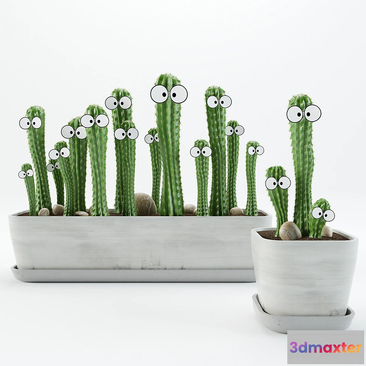 904230 - Cactus with eyes