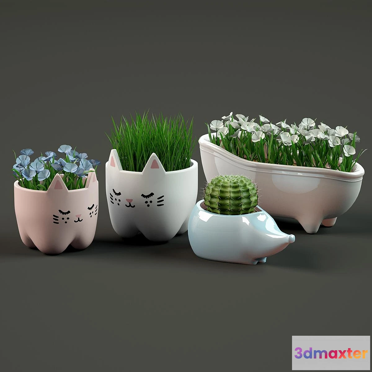 904276 - 2 pots - No.3