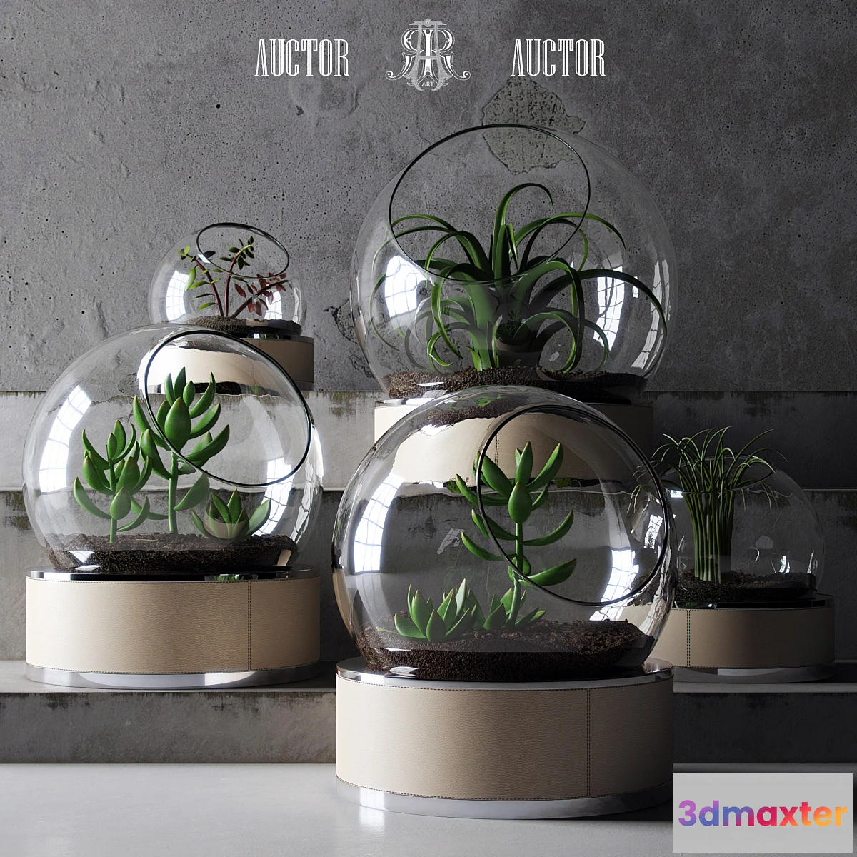 904296 - plant set ART Auctor - No.2