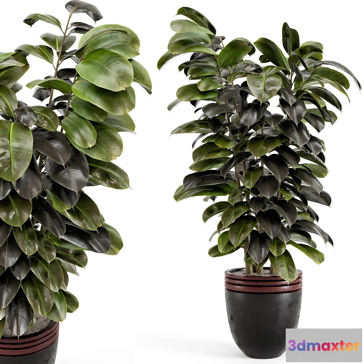 904326 - Indoor Plants in rusty Concrete Pot - Set 881 - No.2