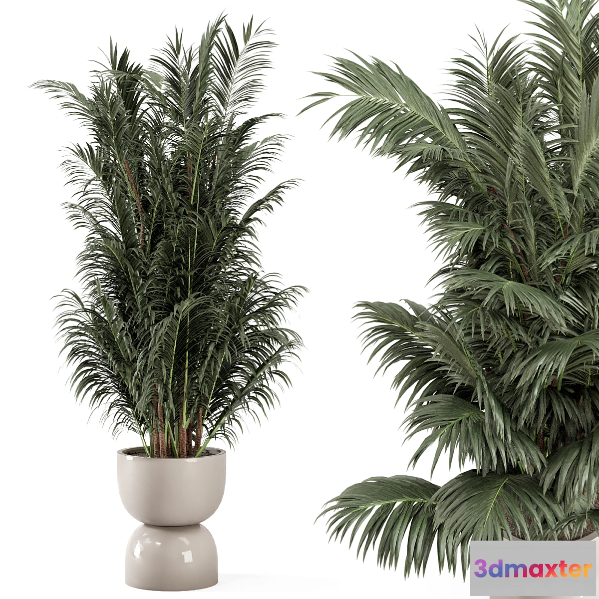 904334 - Indoor Plants in rusty Concrete Pot - Set 352 - No.4