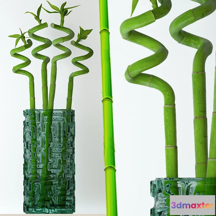 904344 - Home bamboo