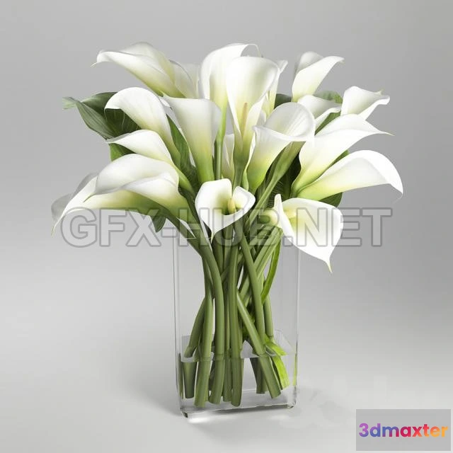 1071898 - Alcatraz_planta - 205455