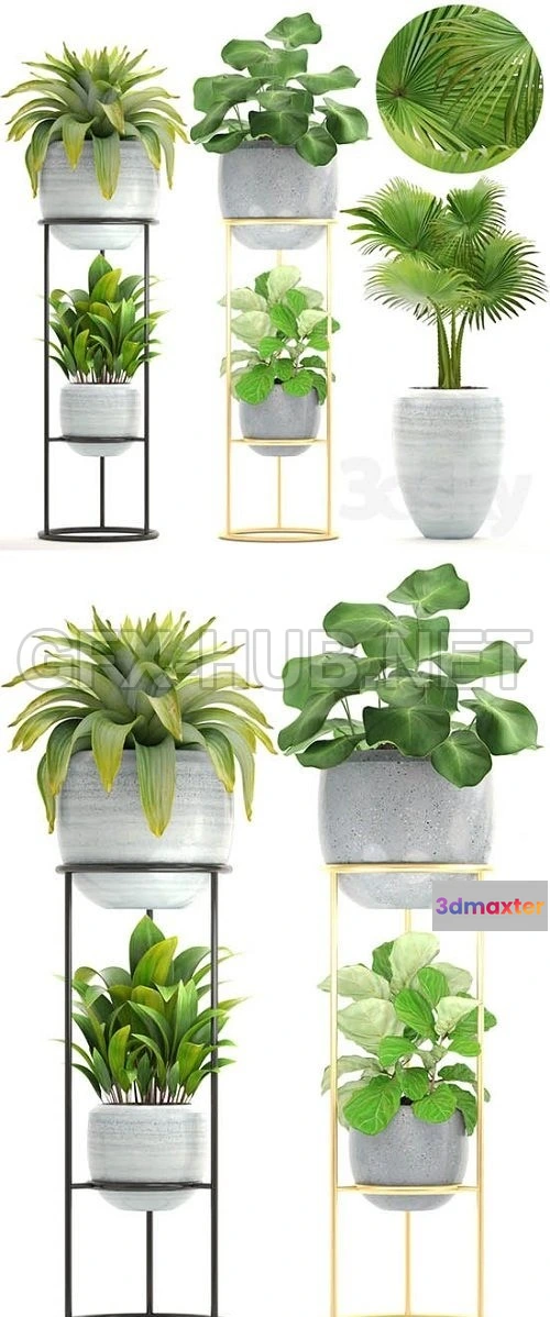 1077538 - Collection of Plants 16 - 211095