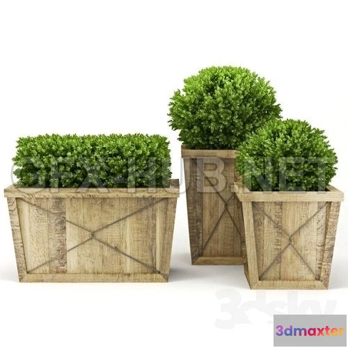 1077552 - Collection of Plants V - 211109