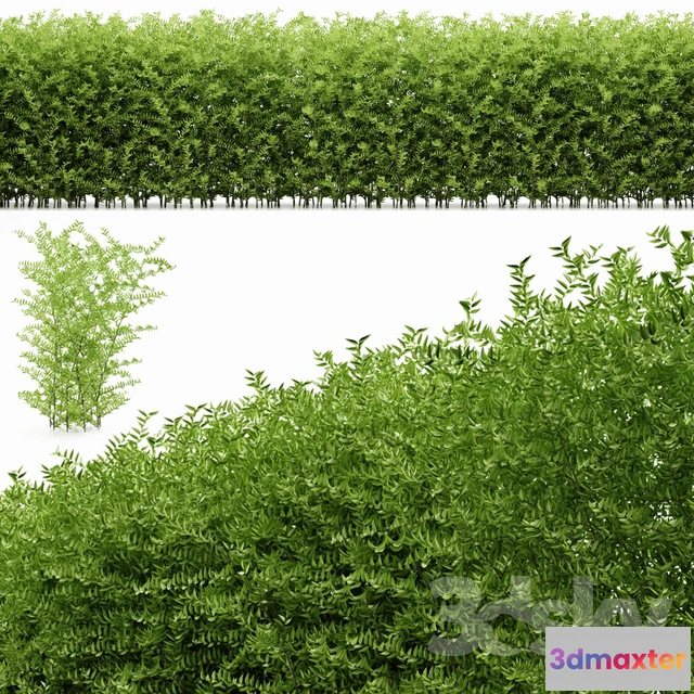 1078584 - Decorative planter - 212141