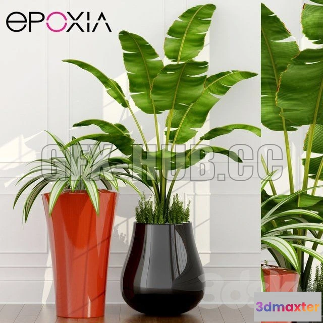 1080228 - Epoxia planters - 213785