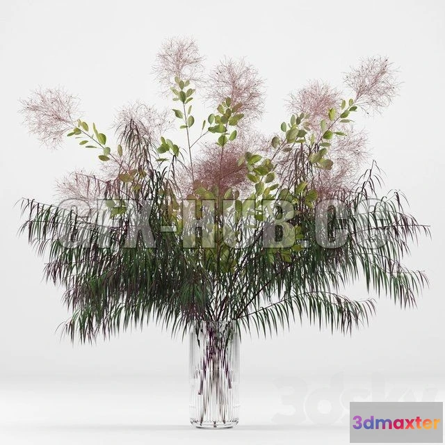 1082292 - Green symphony - Plant 54 - 215849