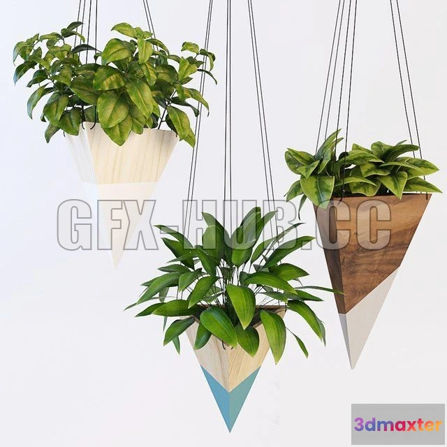 1082536 - Hanging plants 2 - 216093