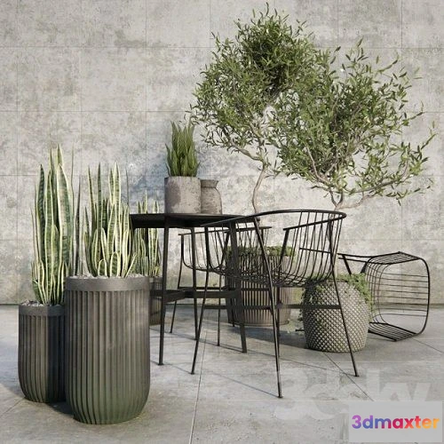 1088380 - Outdoor plant set - 221937