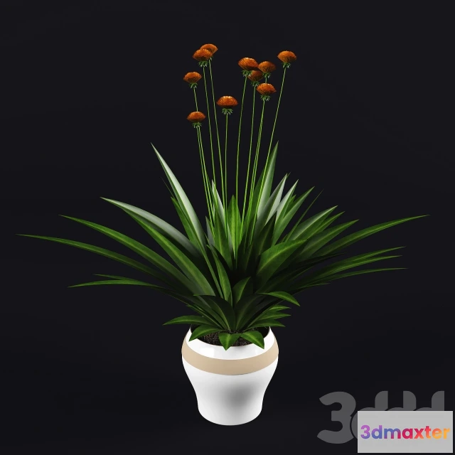 1088998 - PLANT 01 - 222555