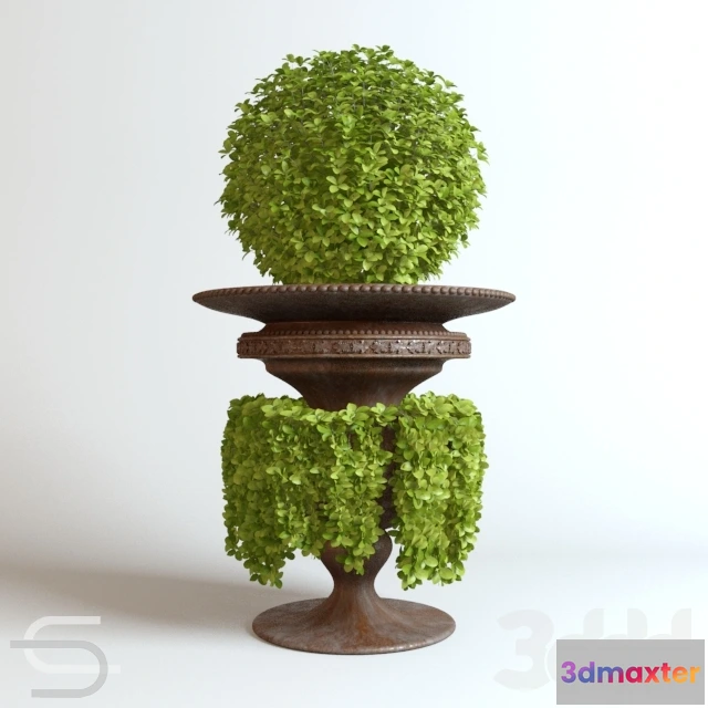 1089010 - Plant CEDE 06 - 222567