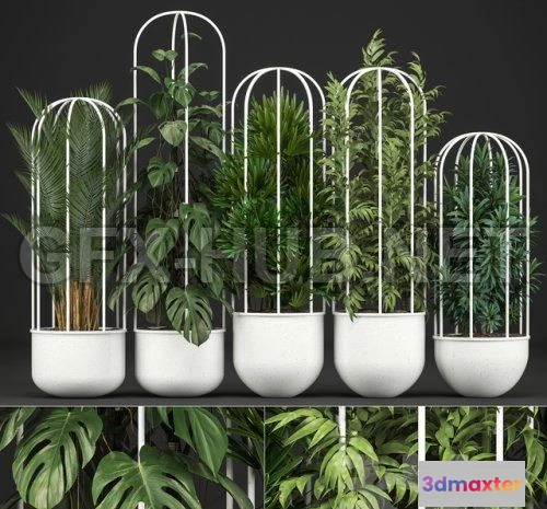 1089014 - Plant collection 328 3D model - 222571