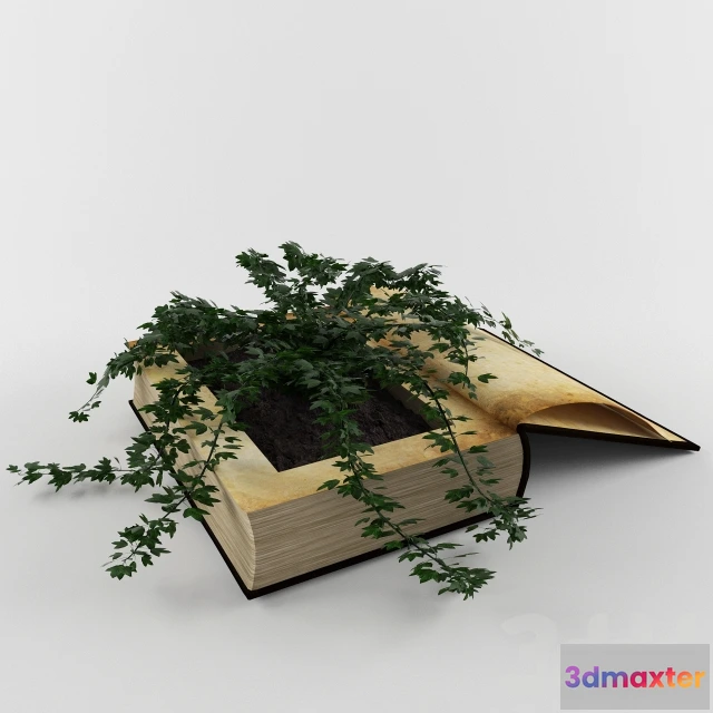 1089020 - Plant in book - 222577